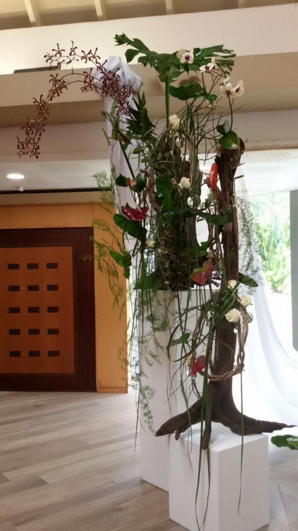 Salle de veillée équipée Martinique 